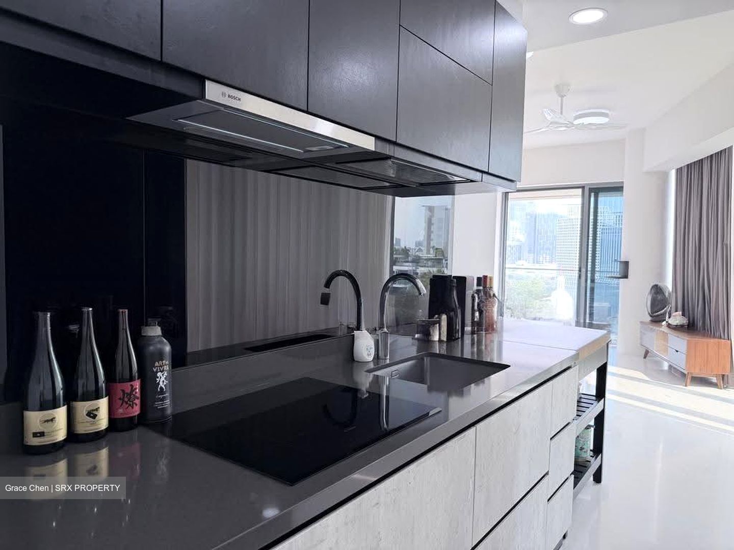 The Rise @ Oxley (D9), Condominium #607980121